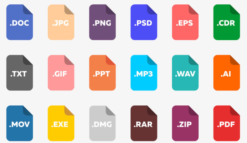 Document types